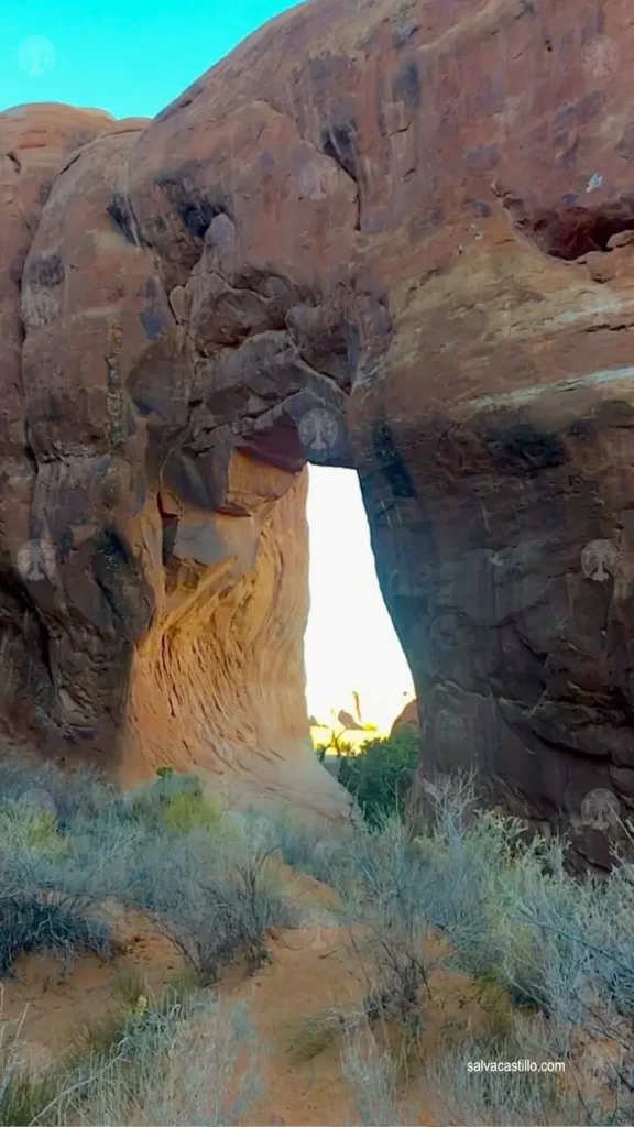 EEUU Utah Arches Pine Tree Arch